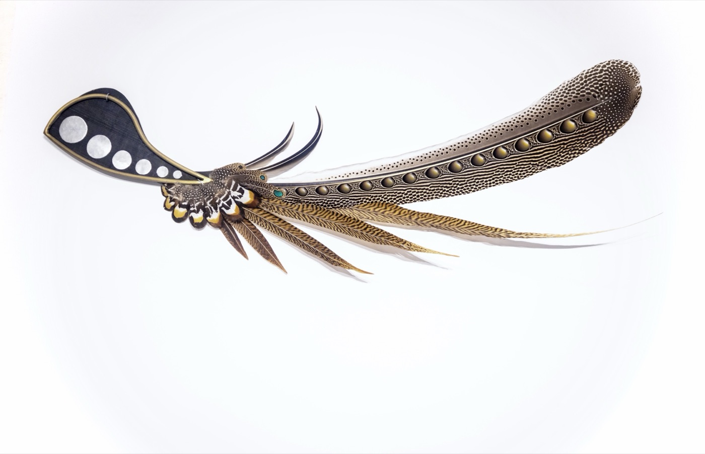 Argan Eyes, a fan-shaped featherwork sculpture of long patterned tail feathers